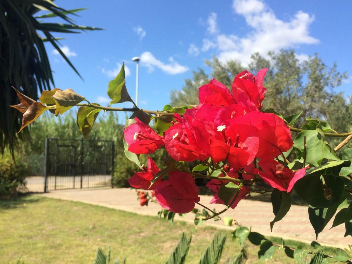 奇亚Casa Del Mirto Bianco别墅 外观 照片